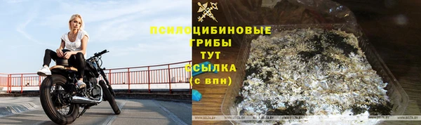 не бодяженный Козельск