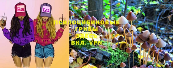 прущие крисы Кодинск
