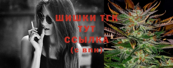 прущие крисы Кодинск
