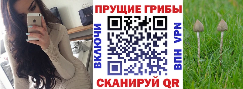 Купить где  Куйбышев  Псилоцибиновые грибы мухоморы 